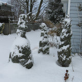 19" x 250' Shrub Wrap